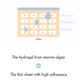 Dr Ceuracle Hyal Reyouth Hydrogel Eye Mask